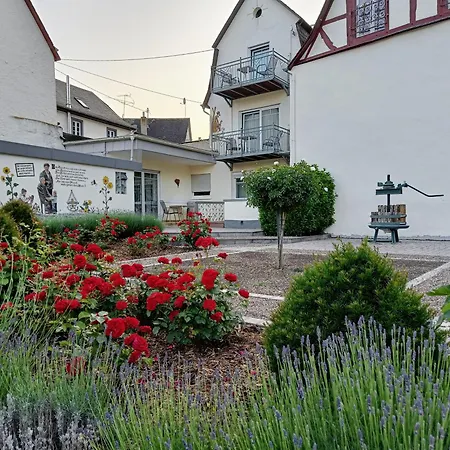 Apartman Moselstrand Briedern